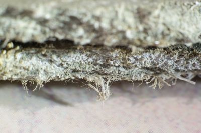 Asbestos Remediation in Somerset County, NJ