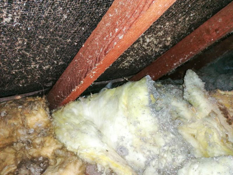 Basement Asbestos Removal in Sussex County, NJ