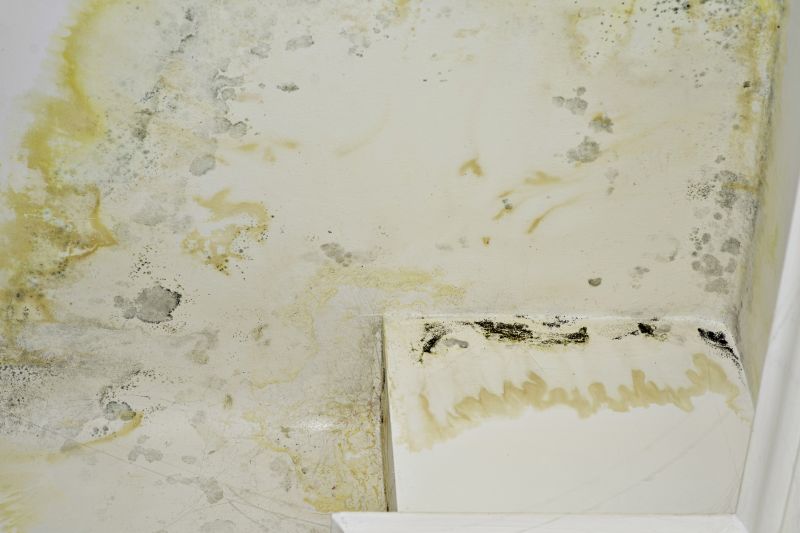 Inside Mold-Affected Areas