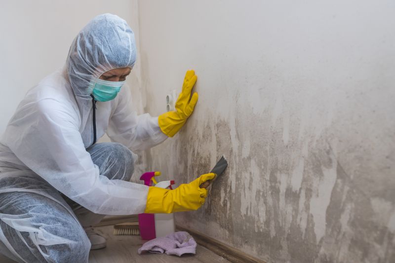 Cost of Mold Remediation — Cost of Mold Remediation