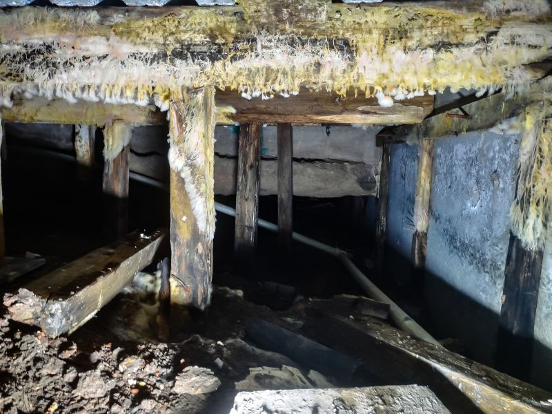 Crawlspace Mold Remediation in Broward County, FL