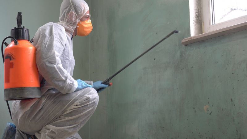 Mold Abatement in Broward County, FL