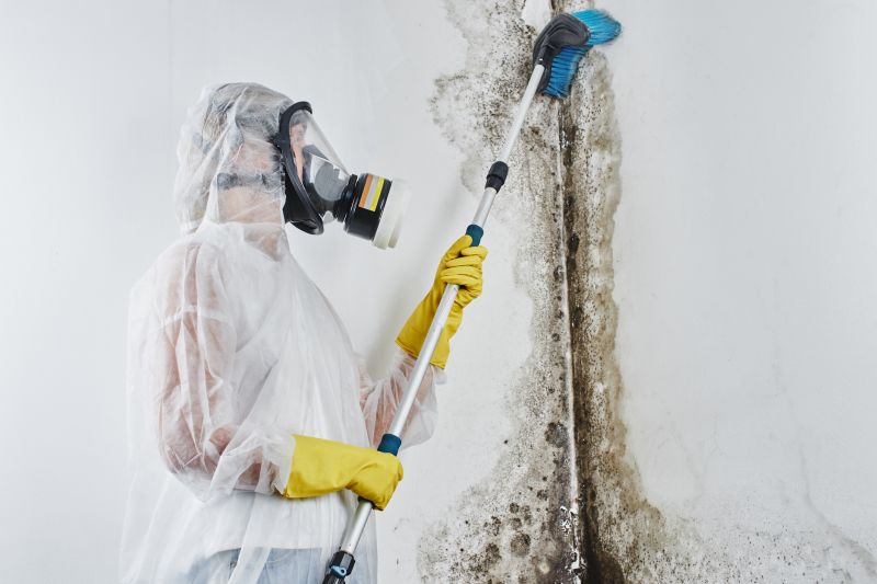 Mold Abatement Service in Dallas, TX