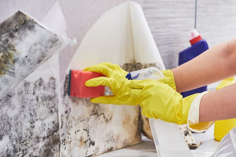 Mold Cleanup Service in Fort Worth, TX