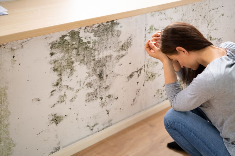 Mold Detection in Rockwall, TX