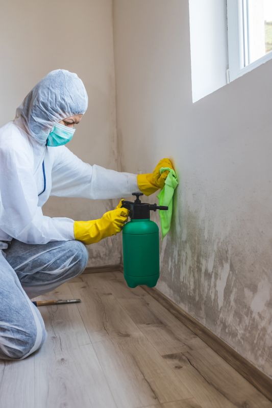 Mold Remediation