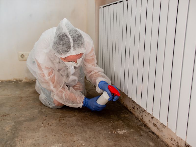 Mold Restoration in Bergen County, NJ