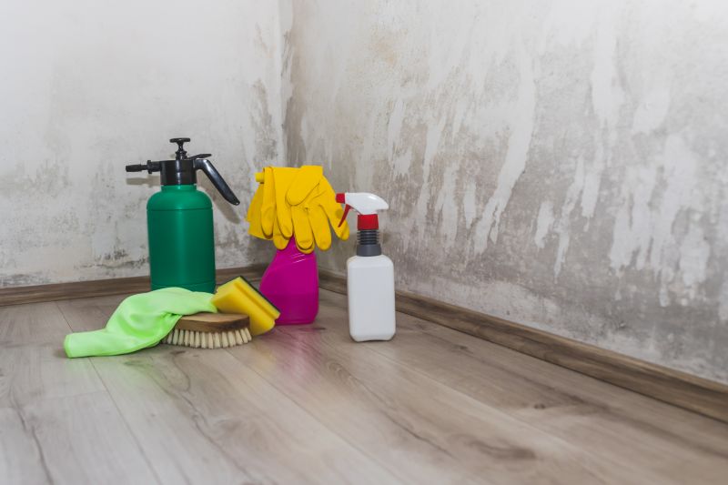 Mold Restoration in Frisco, TX