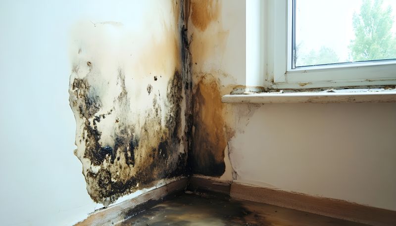 Mold Restoration in West Palm Beach, FL