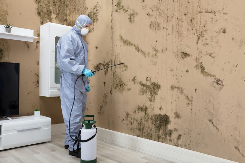 Products For Mold Remediations in use