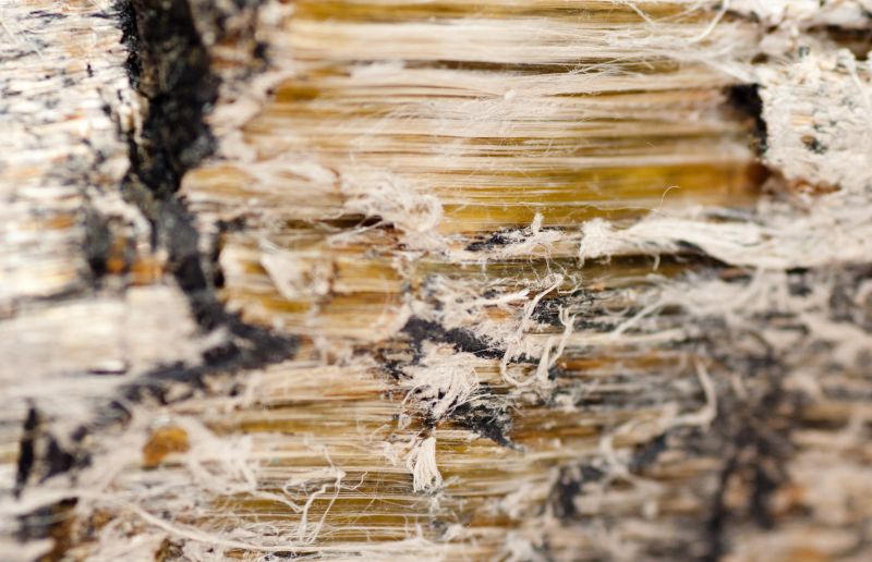 Vermiculite Removal Service in Essex County, NJ