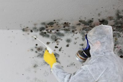 Improves indoor air quality.